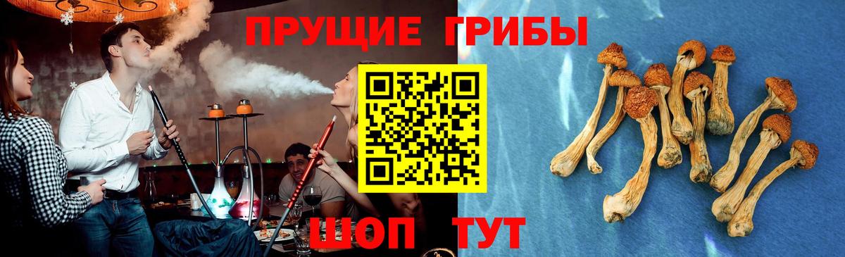 Псилоцибиновые грибы Psilocybe  Вход с VPN  Галлюциногенные грибы прущие грибы  Борисоглебск 