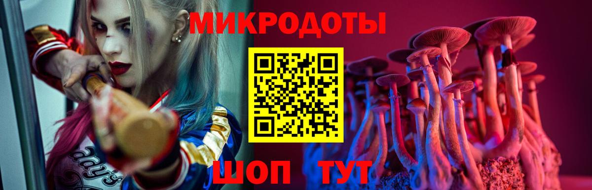 Псилоцибиновые грибы Psilocybine cubensis Борисоглебск