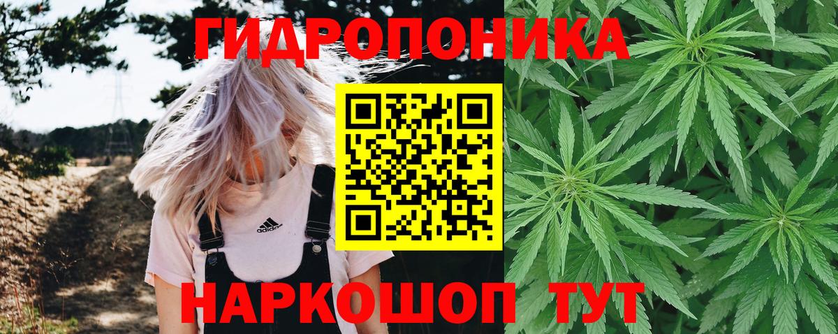 Бошки марихуана индика  Конопля индика  Канабис Bruce Banner  Вход с VPN  Шишки марихуана AK-47  Борисоглебск 